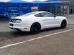 Ford Mustang 2.3T Fastback Auto