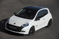 Renault Clio RS 20th Anniversary Edition